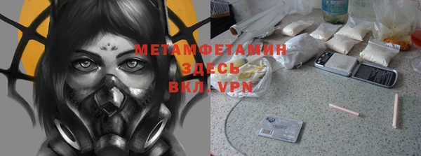 прущие грибы Костерёво