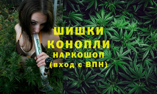 прущие грибы Костерёво