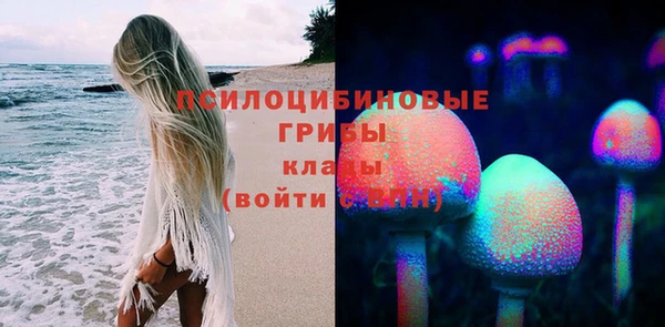 прущие грибы Костерёво