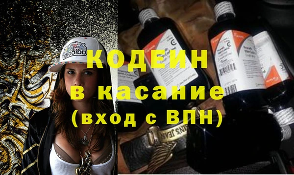 прущие грибы Костерёво