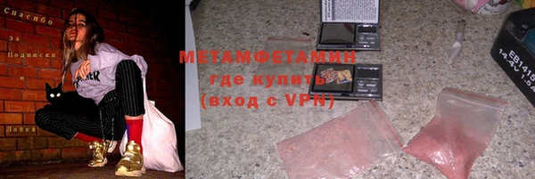 прущие грибы Костерёво