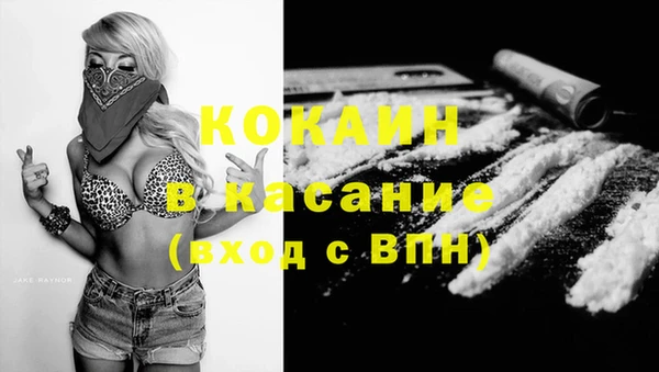прущие грибы Костерёво